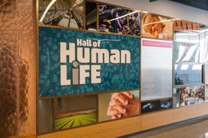 Boston Museum Of Science Hall Of Human Life